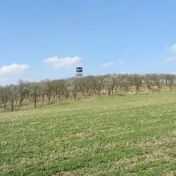 Fotografie 1 – zvětšit